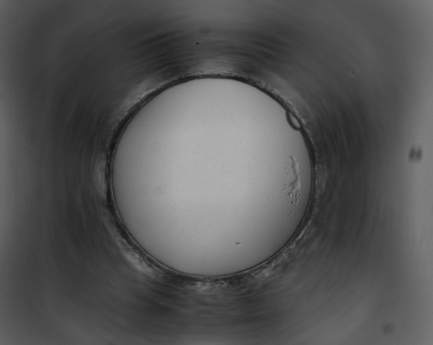 X0000101190345200807181516
