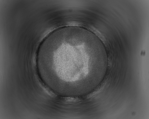 X0000101190347200807181516