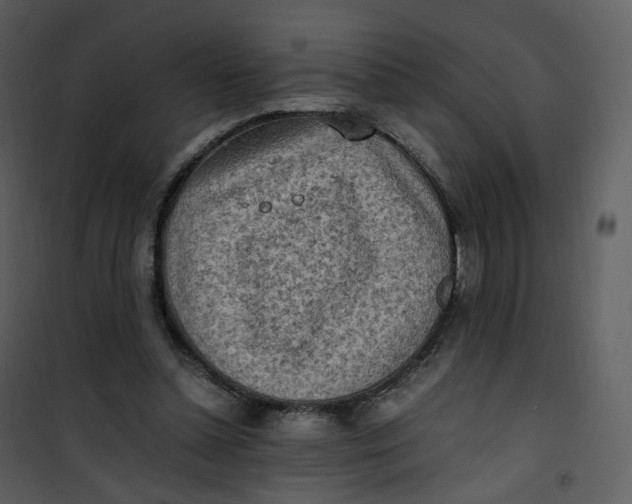 X0000101190348200807181516