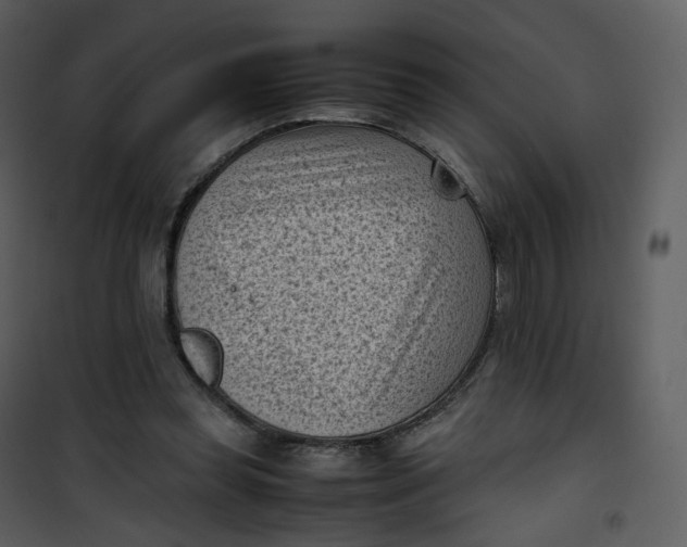 X0000101190349200807181516