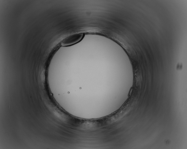 X0000101190350200807181516