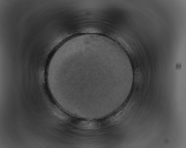 X0000101190351200807181516