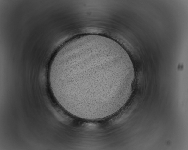 X0000101190352200807181516