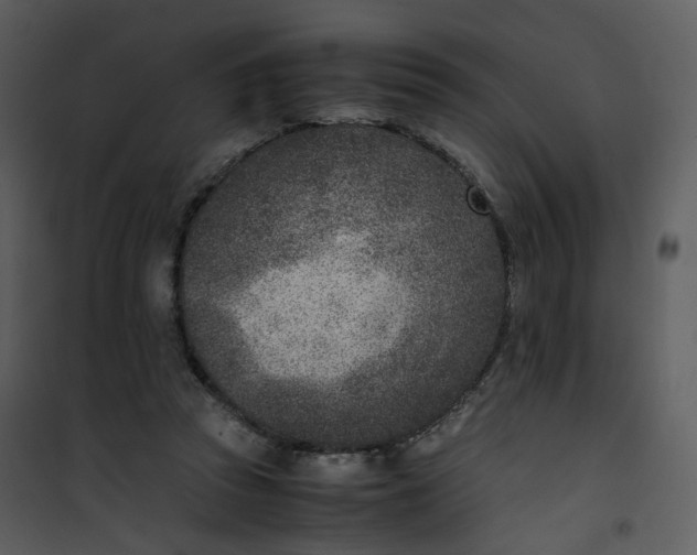 X0000101190353200807181516