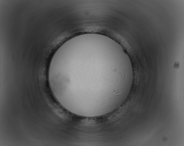 X0000101190354200807181516