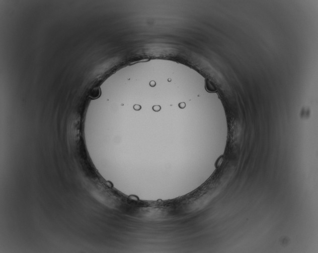 X0000101190356200807181516