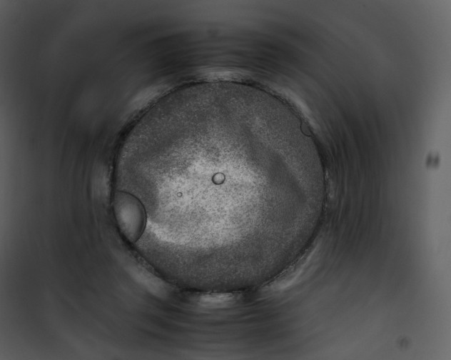 X0000101190357200807181516