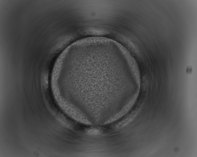 X0000101190358200807181516