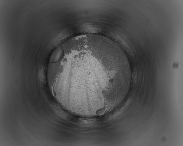 X0000101190359200807181516