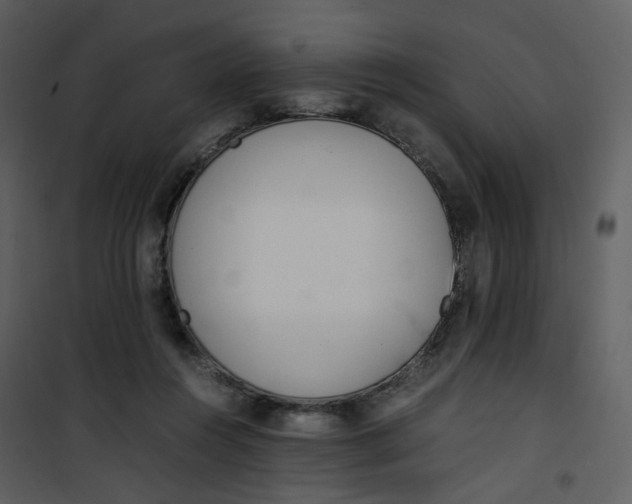 X0000101190360200807181516