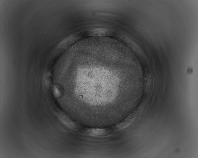 X0000101190361200807181516
