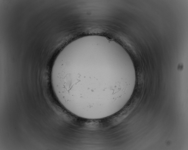 X0000101190362200807181516