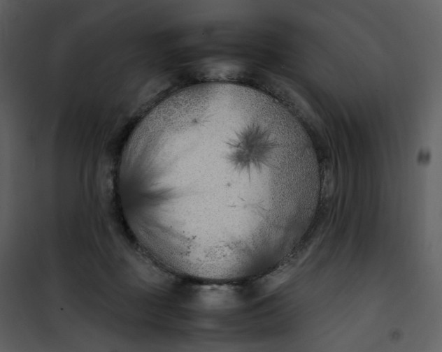 X0000101190363200807181516