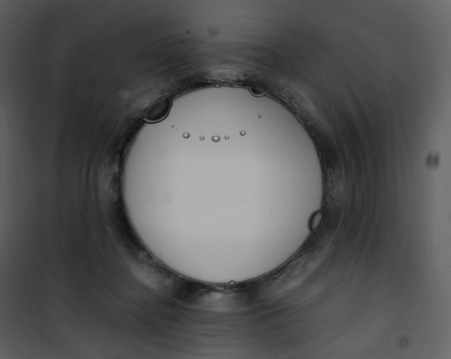 X0000101190364200807181516
