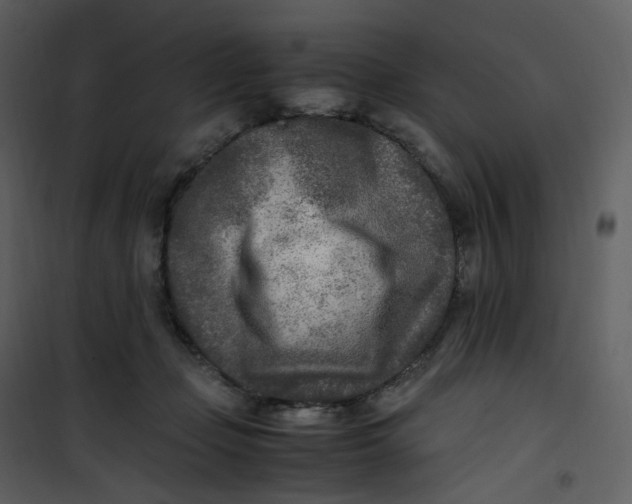 X0000101190365200807181516