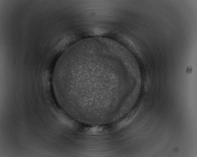 X0000101190366200807181517
