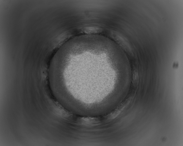 X0000101190367200807181517