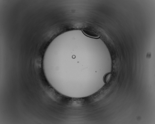 X0000101190368200807181517