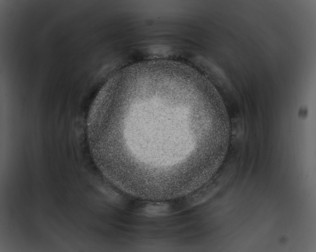 X0000101190369200807181517