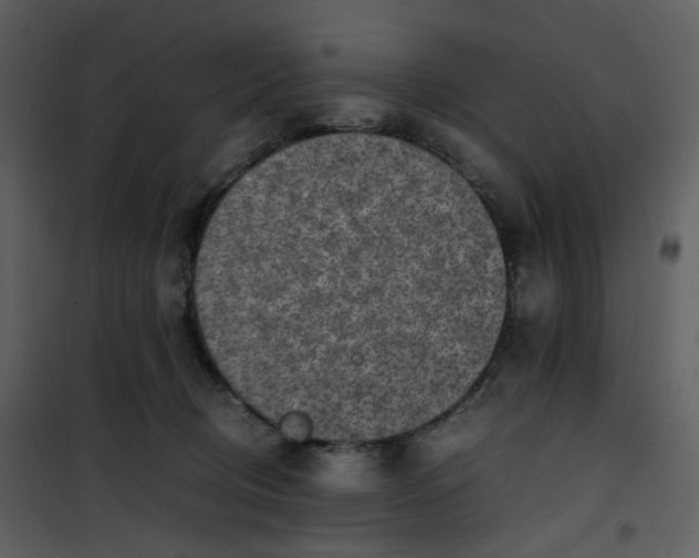 X0000101190370200807181517