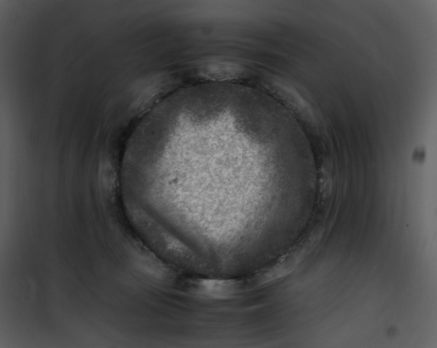 X0000101190371200807181517
