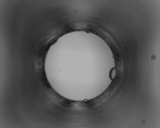 X0000101190372200807181517