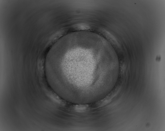 X0000101190373200807181517