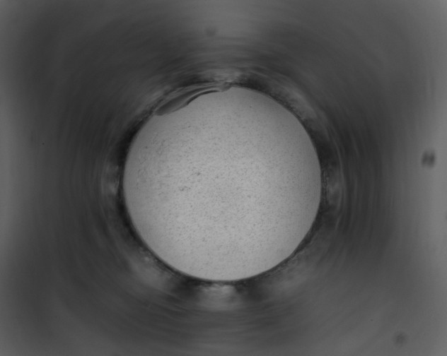 X0000101190374200807181517