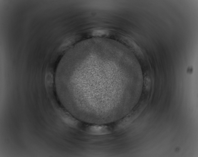 X0000101190375200807181517