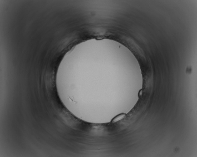 X0000101190376200807181517