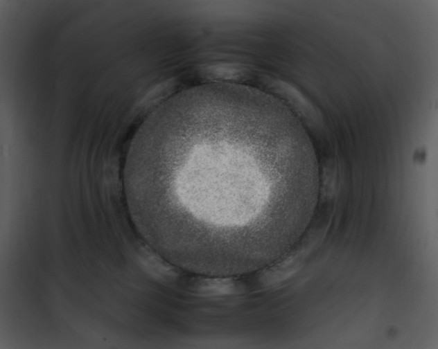 X0000101190377200807181517