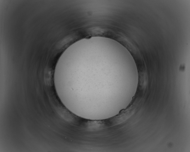 X0000101190378200807181517