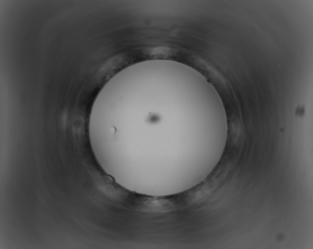 X0000101190379200807181517