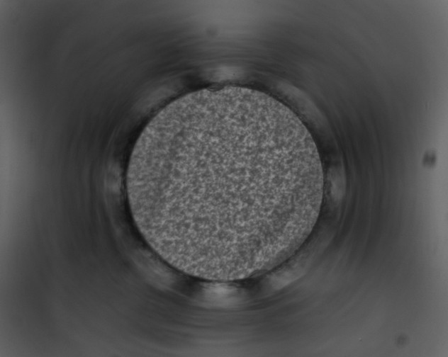 X0000101190380200807181517