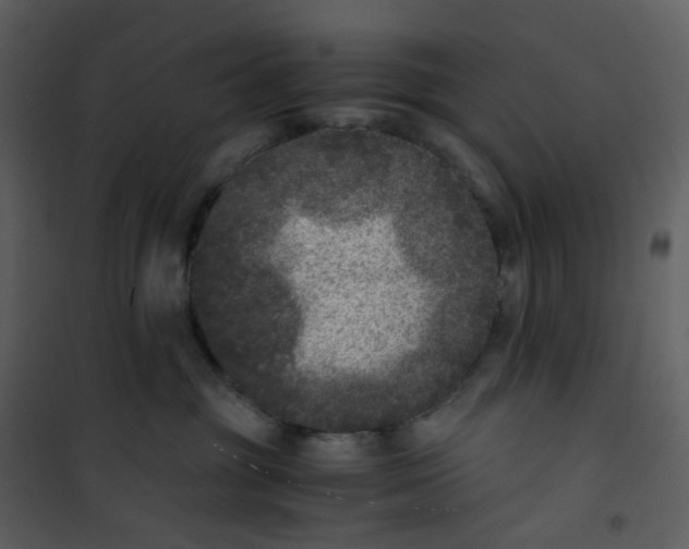 X0000101190381200807181517
