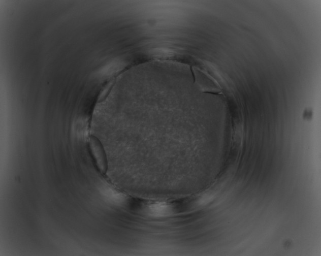 X0000101190383200807181517