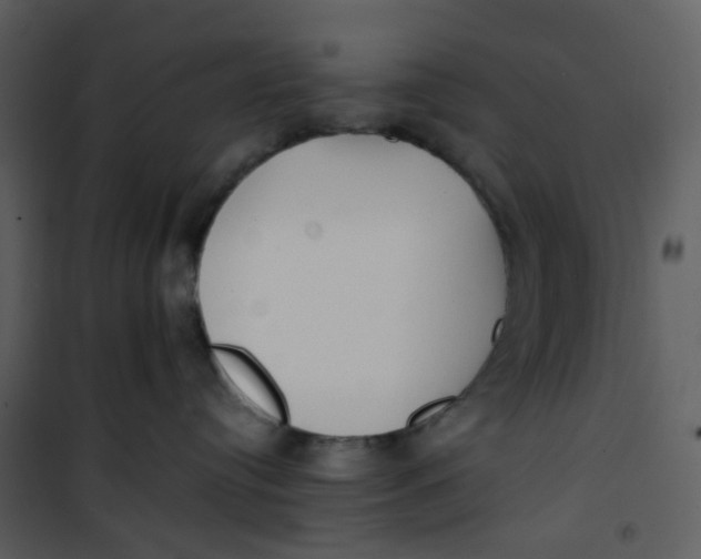 X0000101190384200807181517