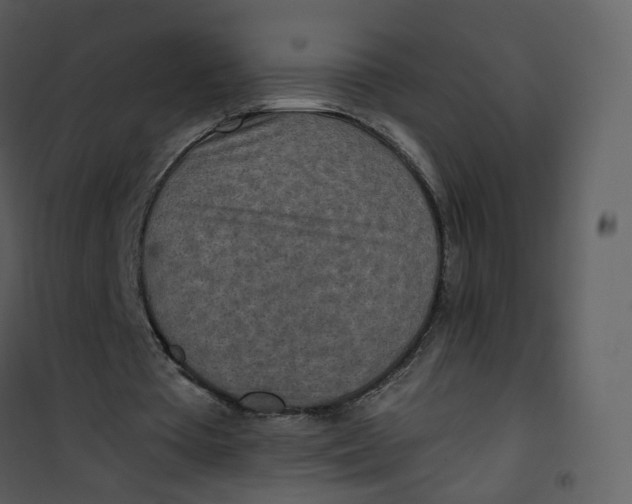 X0000101190385200807181516