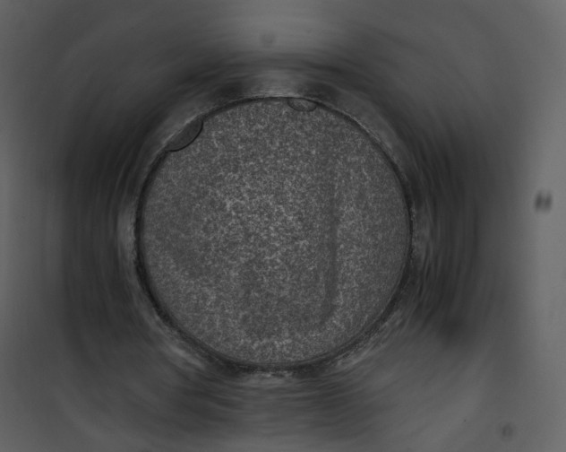X0000101190386200807181516