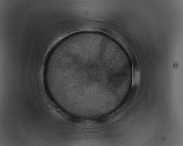 X0000101190387200807181516