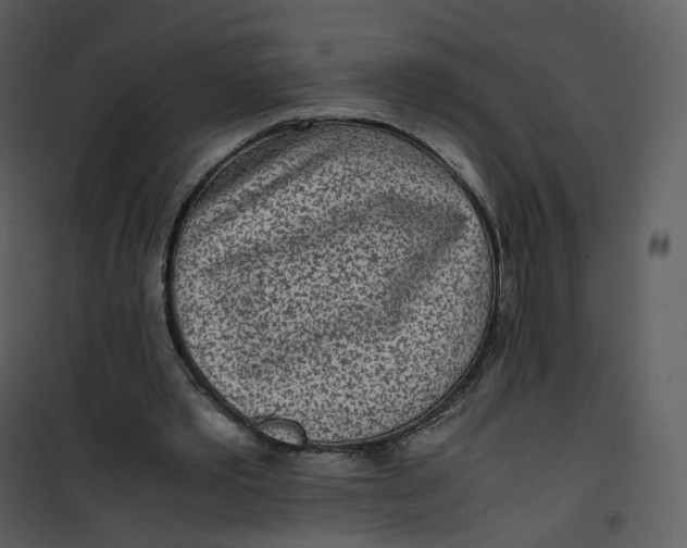 X0000101190389200807181516