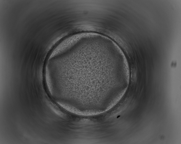 X0000101190390200807181516