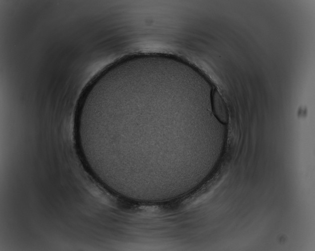 X0000101190391200807181516