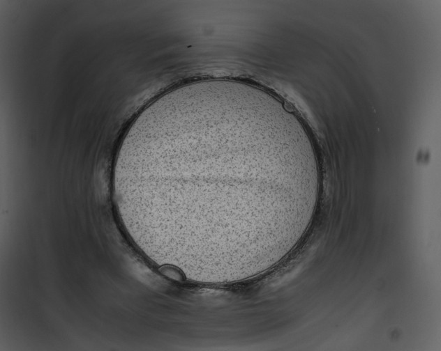 X0000101190393200807181516