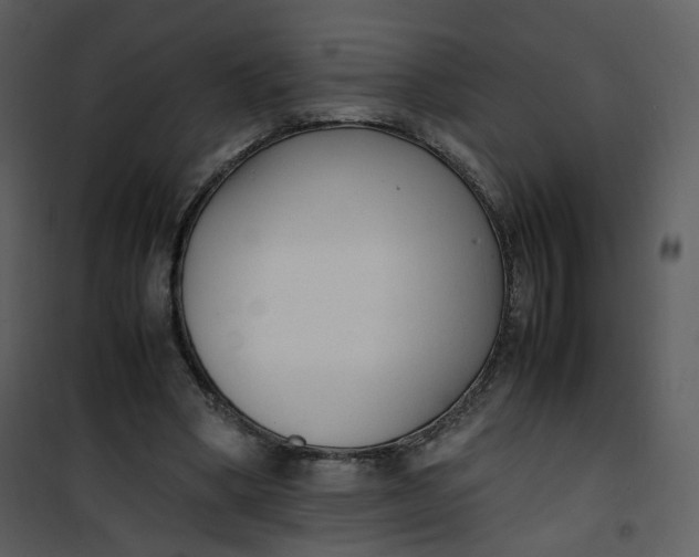 X0000101190394200807181516