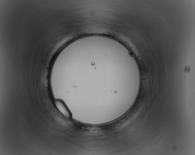 X0000101190395200807181516