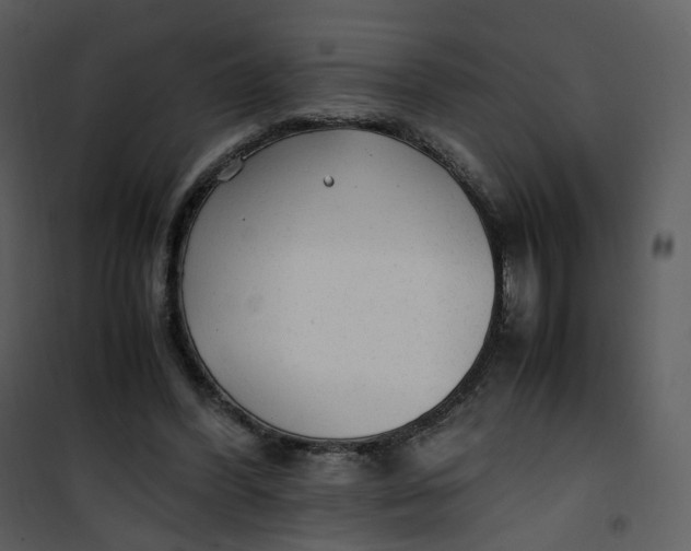 X0000101190396200807181516
