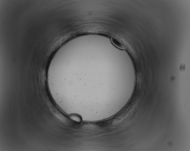 X0000101190397200807181516