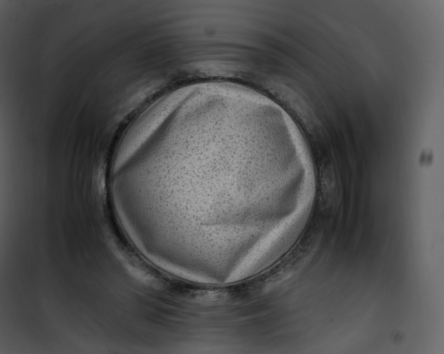 X0000101190398200807181516