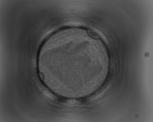 X0000101190399200807181516